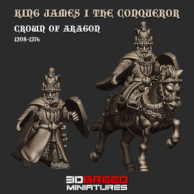 KING JAMES I THE CONQUEROR 15mm