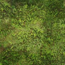 Load image into Gallery viewer, Fleece Battlemat 6x4 Jungle