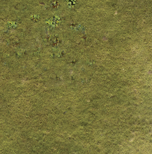 Load image into Gallery viewer, Fleece Battlemat 6x4 Grass