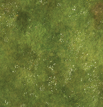 Load image into Gallery viewer, Fleece Battlemat 6x4 September '39