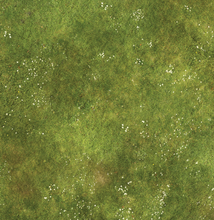 Load image into Gallery viewer, Fleece Battlemat 6x4 September '39