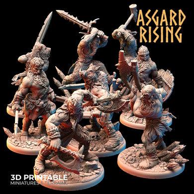 VIKINGS - Berserkers Modular Warband
