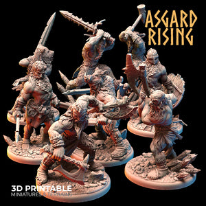 VIKINGS - Berserkers Modular Warband