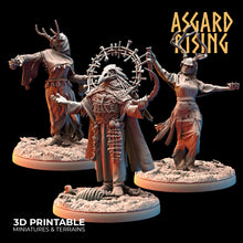 Load image into Gallery viewer, Hofgothi and Priestesses of the Raven Clan