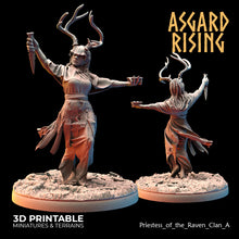 Load image into Gallery viewer, Hofgothi and Priestesses of the Raven Clan
