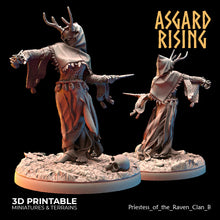 Load image into Gallery viewer, Hofgothi and Priestesses of the Raven Clan