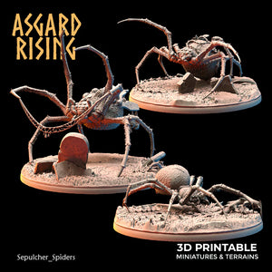 Sepulcher Spiders