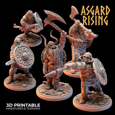 VIKINGS - Warriors Modular Warband