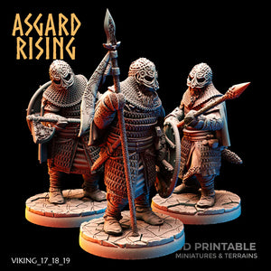 Viking Hersir with Guardsmen