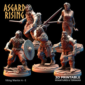 Viking Warriors (ver. 1)