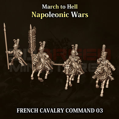 FRENCH CAVALRY COMMAND 03