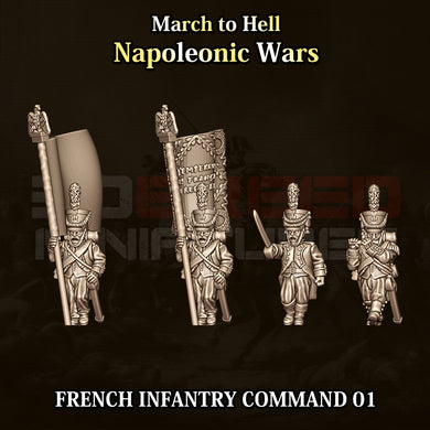 FRENCH INFANTRY COMMAND 01