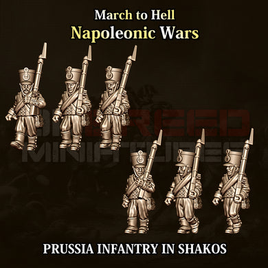 PRUSSIA INFANTRY IN SHAKOS