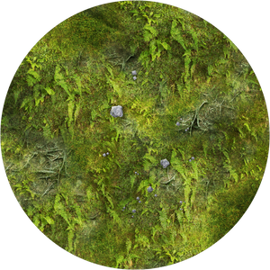 Terrain disks - Forest Floor - Grass