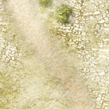 Load image into Gallery viewer, Fleece Battlemat 6x4 Forgotten Kingdom