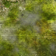 Load image into Gallery viewer, Fleece Battlemat 6x4 Walking Dead