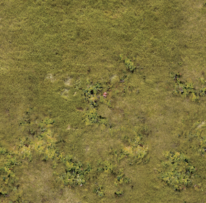 Fall Battlemat Wargaming Mat | 6x4 | Battlemat Autumn | Geek Villain