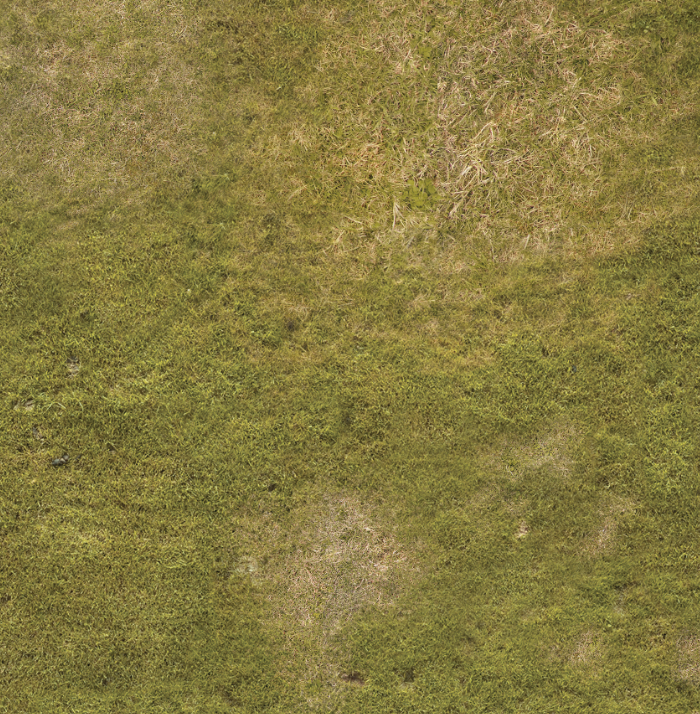 Fall Battlemat Wargaming Mat | 6x4 | Battlemat Autumn | Geek Villain