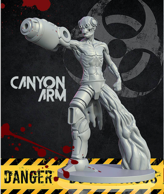 Canyon Arm Zombie Apocalypse