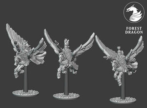 10mm  Pegasus Knights and Heroes