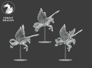 10mm  Pegasus Knights and Heroes